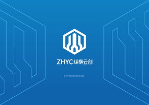 標志案例01 軟件的開發(fā)歷程